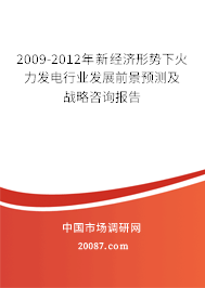 2009-2012年新经济形势下火力发电行业发展前景预测及战略咨询报告