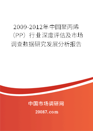 2009-2012年中国聚丙烯（PP）行业深度评估及市场调查数据研究发展分析报告