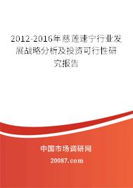 2012-2016年慈莲速宁行业发展战略分析及投资可行性研究报告 2012-2016年慈莲速宁行业发展战略分析及投资可行性研究报告