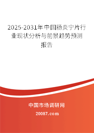 2025-2031年中国肠炎宁片行业现状分析与前景趋势预测报告