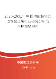 2025-2031年中国功能性填充改性聚乙烯行业研究分析与市场前景报告