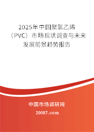 2025年中国聚氯乙烯（PVC）市场现状调查与未来发展前景趋势报告