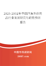 2025-2031年中国汽车外饰用品行业发展研究与趋势预测报告