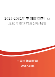 2025-2031年中国曲棍球行业现状与市场前景分析报告