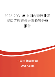 2025-2031年中国台球行业发展深度调研与未来趋势分析报告