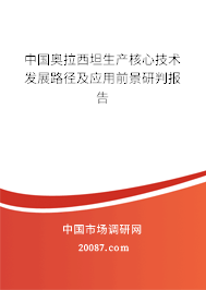 中国奥拉西坦生产核心技术发展路径及应用前景研判报告