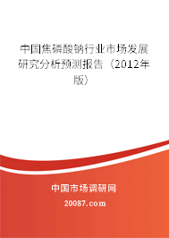 中国焦磷酸钠行业市场发展研究分析预测报告(2012年版) 中国焦磷酸钠行业市场发展研究分析预测报告(2012年版)
