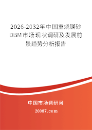 2026-2032年中国重烧镁砂DBM市场现状调研及发展前景趋势分析报告
