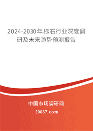 2023-2029���ʯ��ҵ��ȵ��м�δ������Ԥ�ⱨ��