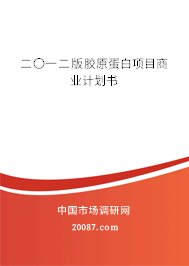 二〇一二版胶原蛋白项目商业计划书