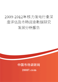 2009-2012年核力发电行业深度评估及市场调查数据研究发展分析报告 2009-2012年核力发电行业深度评估及市场调查数据研究发展分析报告