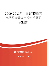 2009-2013年中国BT模板漆市场深度调查与投资发展研究报告