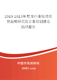 2010-2013年尼龙行业投资前景战略研究及企业规划建设指导报告