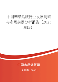中国苯磺酰胺行业发展调研与市场前景分析报告(2025年版) 中国苯磺酰胺行业发展调研与市场前景分析报告(2025年版)
