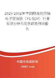 2025-2031年中国场发射扫描电子显微镜（FE-SEM）行业现状分析与前景趋势预测报告