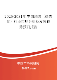 2025-2031年中国纯碱（碳酸钠）行业市场分析及发展趋势预测报告