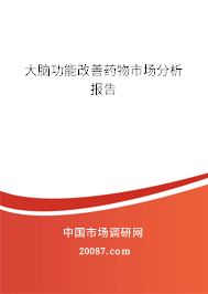 大脑功能改善药物市场分析报告 大脑功能改善药物市场分析报告
