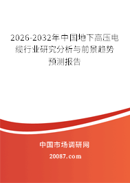 2026-2032年中国地下高压电缆行业研究分析与前景趋势预测报告 2026-2032年中国地下高压电缆行业研究分析与前景趋势预测报告