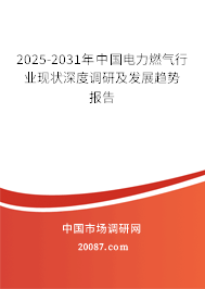 2025-2031年中国电力燃气行业现状深度调研及发展趋势报告