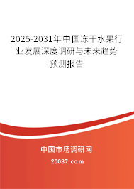 2025-2031年中国冻干水果行业发展深度调研与未来趋势预测报告