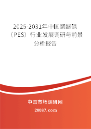 2025-2031年中国聚醚砜（PES）行业发展调研与前景分析报告