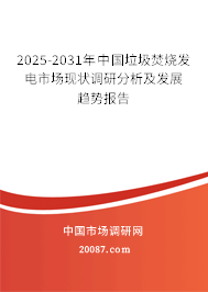 2025-2031年中国垃圾焚烧发电市场现状调研分析及发展趋势报告