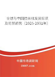 全球与中国拉丝机发展现状及前景趋势（2025-2031年）