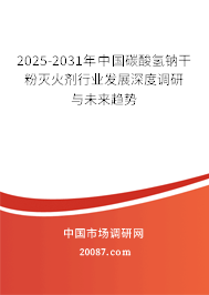 2025-2031年中国碳酸氢钠干粉灭火剂行业发展深度调研与未来趋势预测报告