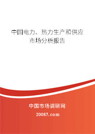 中国电力、热力生产和供应市场分析报告 中国电力、热力生产和供应市场分析报告