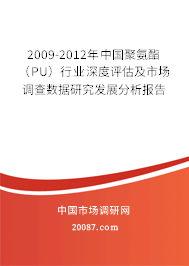 2009-2012年中国聚氨酯（PU）行业深度评估及市场调查数据研究发展分析报告