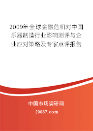 2009年全球金融危机对中国乐器制造行业影响测评与企业应对策略及专家点评报告