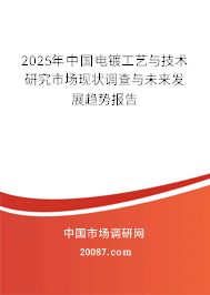 2025年中国电镀工艺与技术研究市场现状调查与未来发展趋势报告