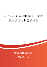 2025-2031年中国电子开关发展现状与行业前景分析