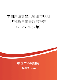 中国光波导显示模组市场现状分析与前景趋势报告（2026-2032年）