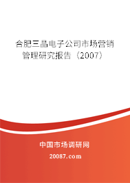 合肥三晶电子公司市场营销管理研究报告（2007）