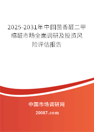 2025-2031年中国茴香醛二甲缩醛市场全面调研及投资风险评估报告