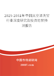2025-2031年中国太空清洗宝行业深度研究及投资前景预测报告 2025-2031年中国太空清洗宝行业深度研究及投资前景预测报告