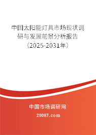 中国太阳能灯具市场现状调研与发展前景分析报告（2025-2031年）