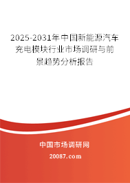 2025-2031年中国新能源汽车充电模块行业市场调研与前景趋势分析报告