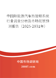 中国新能源汽车热管理系统行业调查分析及市场前景预测报告（2025-2031年）