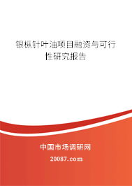 银枞针叶油项目融资与可行性研究报告