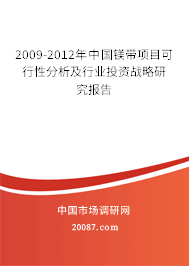 2009-2012年中国镁带项目可行性分析及行业投资战略研究报告