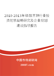 2010-2013年磷酸三钾行业投资前景战略研究及企业规划建设指导报告 2010-2013年磷酸三钾行业投资前景战略研究及企业规划建设指导报告