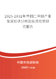 2025-2031年中国二甲醚产业发展现状分析及投资前景研究报告