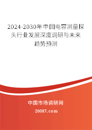 2024-2030年中国电容测量探头行业发展深度调研与未来趋势预测 2024-2030年中国电容测量探头行业发展深度调研与未来趋势预测