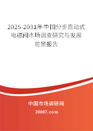 2024-2030年中国分步直动式电磁阀市场调查研究与发展前景报告