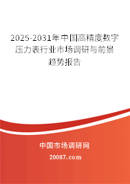 2025-2031年中国高精度数字压力表行业市场调研与前景趋势报告 2025-2031年中国高精度数字压力表行业市场调研与前景趋势报告