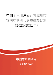中国个人用户云计算应用市场现状调研与前景趋势预测（2025-2031年）