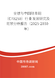 全球与中国硅青铜（C70250）行业发展研究及前景分析报告（2025-2030年）