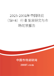 2025-2031年中国硅烷（SiH4）行业发展研究与市场前景报告